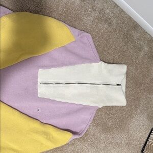 Express Multicolor Turtleneck Sweater